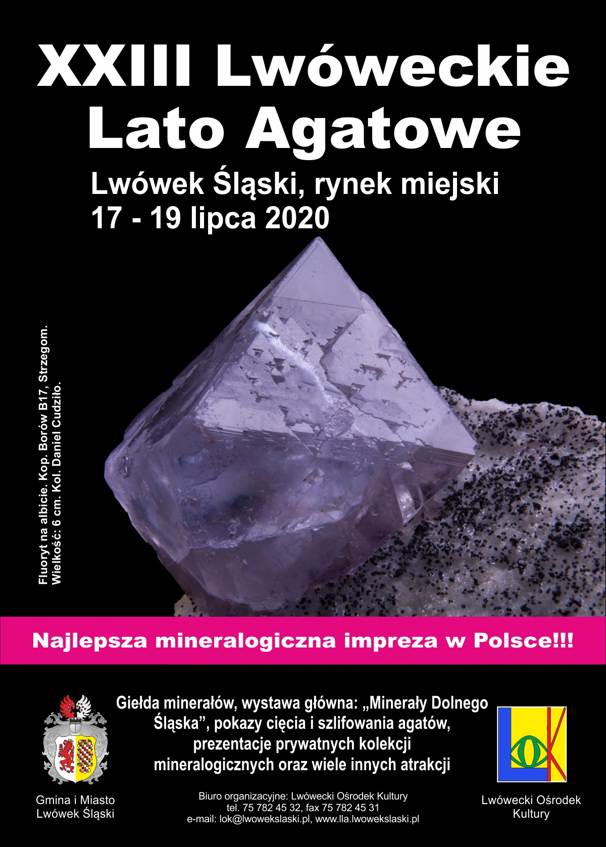 Promocja XXIII LLA na giełdzie minerałów w Szczecinie